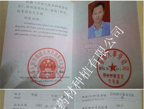 李磊种子种苗繁育员证书