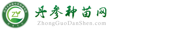 中国丹参网